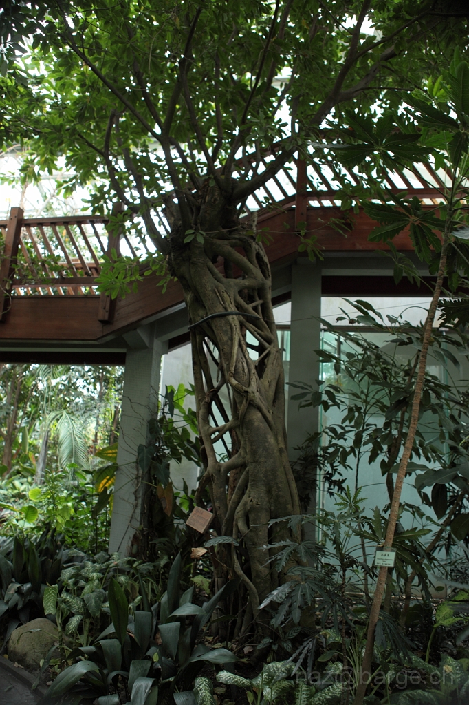 EOS 5D Mark II16_04_20134984.JPG